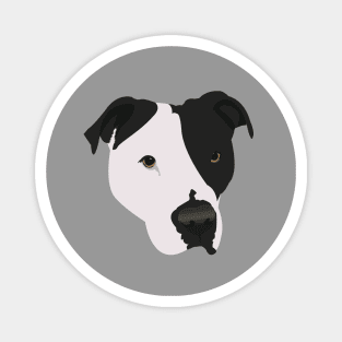 Black and White Pit Bull Magnet